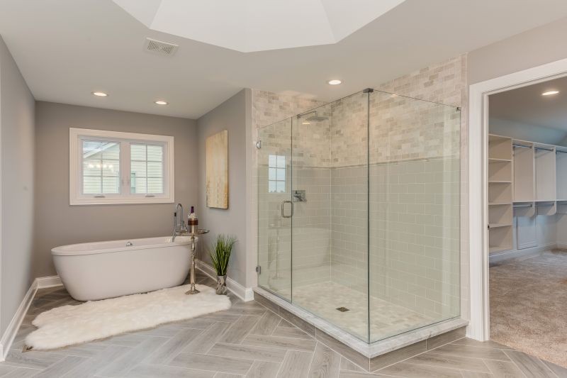 Elegant Tub to Shower Conversion