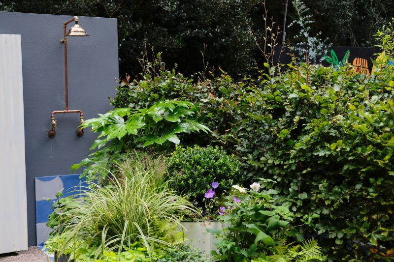 Top Shower Installation Companies in Goodyear, AZ